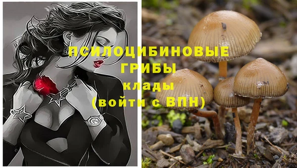 героин Алзамай