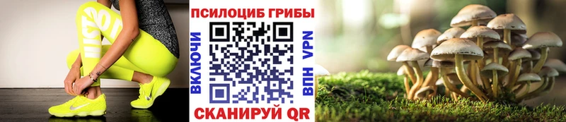 Галлюциногенные грибы MAGIC MUSHROOMS  цены наркотик  Апатиты 